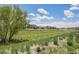 Residential neighborhood featuring a green space and a row of well-maintained homes at 10506 Akron St, Commerce City, CO 80640