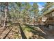 Extensive backyard with mature trees, deck, grill, and play equipment, offering a Gathering-friendly outdoor space at 34103 Forest Park Dr, Elizabeth, CO 80107