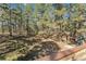 Expansive backyard with mature trees, offering a serene and private outdoor space with shade at 34103 Forest Park Dr, Elizabeth, CO 80107
