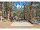 Outdoor play area with basketball court, swingset, slide and bench amidst a wooded landscape at 34103 Forest Park Dr, Elizabeth, CO 80107