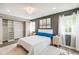 Bright bedroom featuring a light-colored rug, an open closet, and large windows with natural light at 3612 Rosewalk Cir, Highlands Ranch, CO 80129