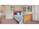 Bedroom featuring a wood bed frame with blue and red pillows at 2359 Indian Paintbrush Cir, Highlands Ranch, CO 80129