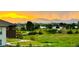 Lovely backyard view of the neighborhood with mature trees, and walking trail at 6805 Zebra Grass Ln, Parker, CO 80138