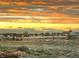 This community has views of mountains and sunsets at 6805 Zebra Grass Ln, Parker, CO 80138