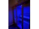 Modern sauna room featuring a wooden sauna with glass doors and blue lighting at 12665 S Robinson Ranch Ct, Parker, CO 80134