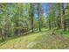 Sloping backyard with grass and pine and aspen trees at 30122 Nancys Ln, Conifer, CO 80433