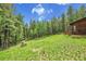 A sloped lawn dotted with trees and green grass surrounds a charming mountain home at 30122 Nancys Ln, Conifer, CO 80433