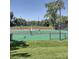 Enjoy an outdoor tennis match on this well-maintained court with surrounding greenery and a clear blue sky at 11404 W Sharkstooth Peak, Littleton, CO 80127