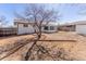 The backyard featuring a tree and space for landscaping or recreational use at 8271 Bluebell Way, Denver, CO 80221