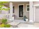 Inviting front porch with decorative plants, offering a warm welcome to this charming home at 3319 Starry Night Loop, Castle Rock, CO 80109