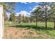 Picture of a grass backyard with scattered trees and a glimpse of the home's deck at 721 Forest View Rd, Monument, CO 80132