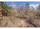 Beautiful creek runs through the property surrounded by mature trees and landscape at 721 Forest View Rd, Monument, CO 80132