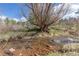 Scenic view of a creek flowing through the property with mature tree and blue sky at 721 Forest View Rd, Monument, CO 80132