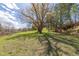 Picture of a large tree, trees, and grasses. A peaceful, natural scene at 721 Forest View Rd, Monument, CO 80132