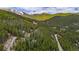 Idyllic mountain community enveloped by forest with views of the snow-capped peaks in the background at 542 Harris Dr, Idaho Springs, CO 80452