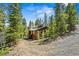 Quaint mountain cabin nestled amongst mature pine trees with solar panels on the roof at 542 Harris Dr, Idaho Springs, CO 80452