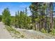 Gravel driveway on a property lot surrounded by lush green trees and natural vegetation at 542 Harris Dr, Idaho Springs, CO 80452