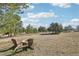 Picturesque backyard with a fire pit and Adirondack chairs, surrounded by mature trees and greenery at 2287 Pinto Trl, Elizabeth, CO 80107