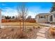 Backyard with stone path and young trees at 2602 S Lafayette St, Denver, CO 80210