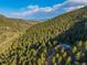Beautiful red home surrounded by a forest, featuring a blue roof and offering a secluded mountain retreat at 5896 Peregrine Trl, Golden, CO 80403