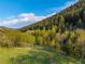Beautiful landscape featuring a grassy meadow, vibrant trees, and a clear blue sky with fluffy white clouds at 5896 Peregrine Trl, Golden, CO 80403