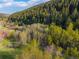 Picturesque mountain landscape featuring lush trees, vibrant foliage, and a serene natural setting at 5896 Peregrine Trl, Golden, CO 80403