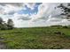 Expansive green land under a dynamic sky, partially bordered by trees and distant buildings at 908 S Yampa St # 208, Aurora, CO 80017