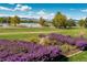 Landscaped garden with purple flowers and a scenic lake view at 1930 Grove St # 2, Denver, CO 80204