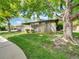 Exterior view of the home with large trees, healthy lawn, and a fence for privacy at 8730 E Roundtree Ave, Greenwood Village, CO 80111