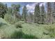Picturesque backyard featuring lush grass, mature trees, and serene privacy at 10438 Sunlight Ln, Conifer, CO 80433