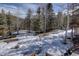 A view of a snow-covered wooded backyard with evergreen and aspen trees at 10438 Sunlight Ln, Conifer, CO 80433