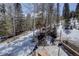 Backyard view of the shed and surrounding aspen and evergreen trees and snow-covered ground at 10438 Sunlight Ln, Conifer, CO 80433