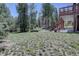 Expansive backyard with lush lawn and mature trees, offering privacy and a serene outdoor space at 10438 Sunlight Ln, Conifer, CO 80433