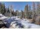 A wooded property near the road in winter at 10438 Sunlight Ln, Conifer, CO 80433