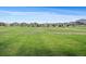 View of large open grassy area near homes in the neighborhood on a sunny day at 16062 Red Bud Loop, Parker, CO 80134