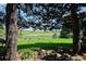 Lush backyard with mature trees, green grass, and distant views beyond the fence at 4338 S Alton St, Greenwood Village, CO 80111