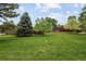 Expansive front yard featuring lush green grass and mature trees, enhancing the property's serene ambiance at 141 S Upham Ct, Lakewood, CO 80226