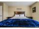 Bright bedroom with a queen-size bed and ample natural light at 2389 Quartz St, Castle Rock, CO 80109