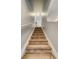 Indoor staircase with carpeted steps and neutral-colored walls at 2389 Quartz St, Castle Rock, CO 80109