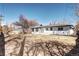 Home backyard featuring mature trees, a patio, and a view of the home's exterior at 507 S Pontiac Way, Denver, CO 80224