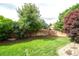 Lush backyard showcasing a well-maintained lawn and a wood fence for privacy at 14962 Williams St, Thornton, CO 80602