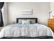 The bright main bedroom has soft carpet, neutral walls, and ample natural light at 9287 Twenty Mile Rd # 204, Parker, CO 80134