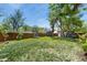Spacious backyard with lush green grass, a trampoline, and a storage shed surrounded by trees and a fence at 300 E Cleveland St, Lafayette, CO 80026