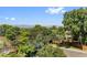 Scenic view with lush trees and mountains in the background from the property at 7345 W 97Th Pl, Broomfield, CO 80021