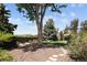 Well-maintained backyard with lush greenery, mature trees, and a stone pathway, offering privacy and serenity at 9383 W Colorado Ave, Lakewood, CO 80232