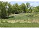 A scenic view of a lush, green field with an arched bridge in the background at 9383 W Colorado Ave, Lakewood, CO 80232
