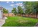 Large backyard with lush green lawn, wood fence, and mature trees providing shade at 962 Uvalda St, Aurora, CO 80011