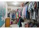 Spacious walk-in closet featuring ample storage space with a variety of shelving and hanging rods at 4143 Eagle Ridge Way, Castle Rock, CO 80104