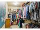 Walk-in closet with extensive shelving and clothing racks at 4143 Eagle Ridge Way, Castle Rock, CO 80104