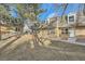 Brick townhouse exterior with landscaping and a tree at 1517 S Owens St # 7, Denver, CO 80232